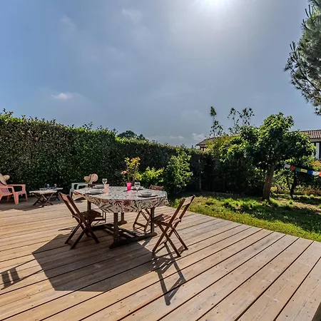 Les Mimosas *