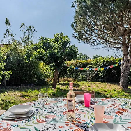 Les Mimosas Mios