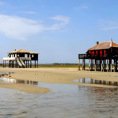 Les Mimosas Casa vacanze *